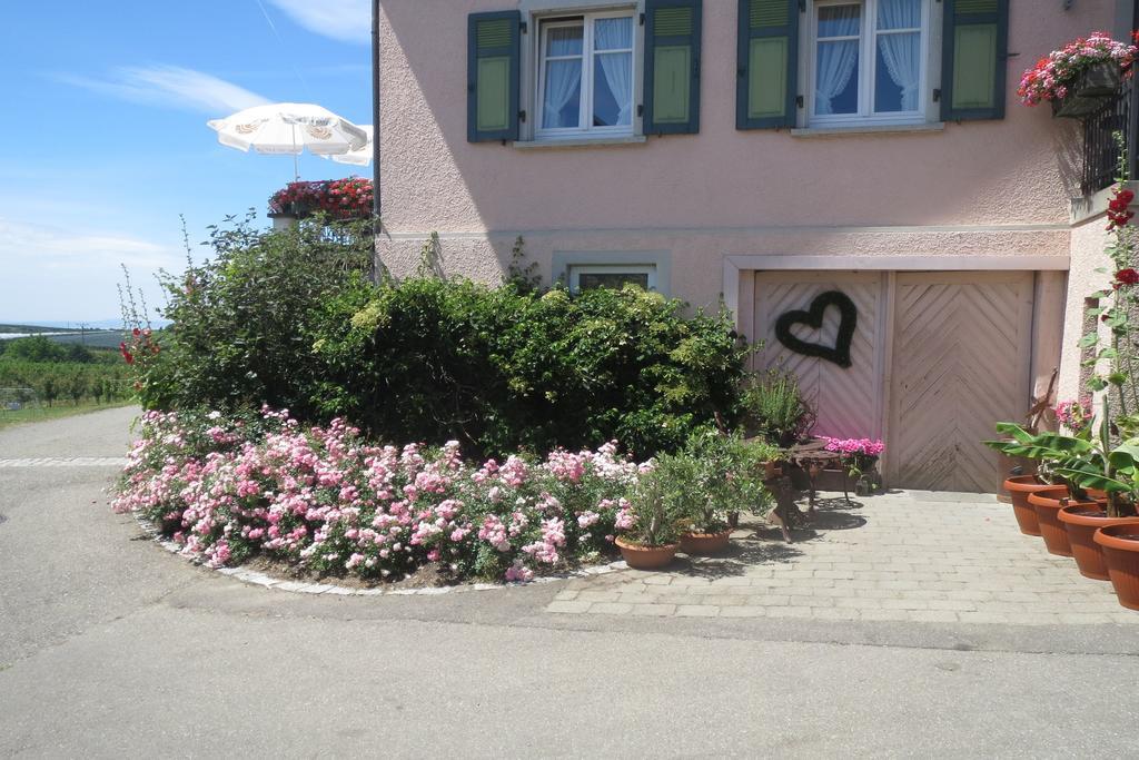 Gaestehaus Frohe Aussicht Hotell Kressbronn am Bodensee Exteriör bild